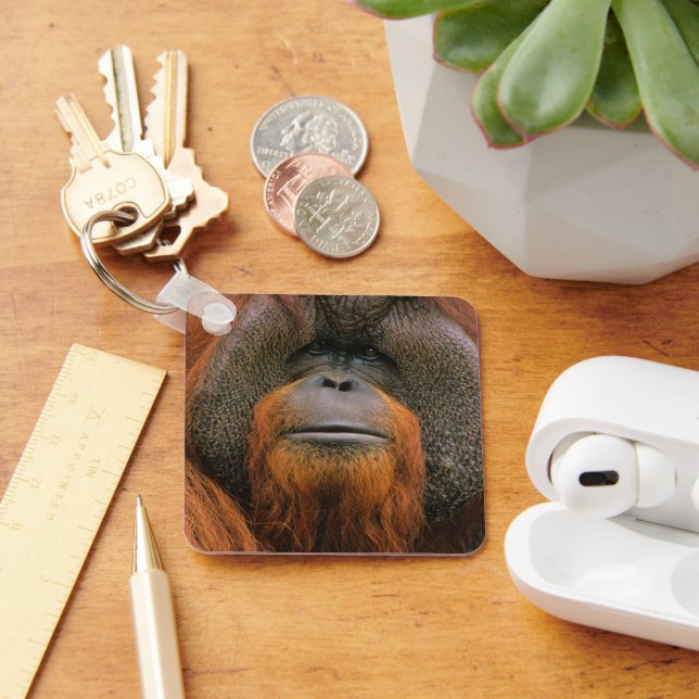 Porte-clés Portrait of Orang-utang Male, Georgia, USA (Bureau)