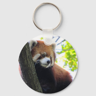 Porte-clés Portrait Red Panda