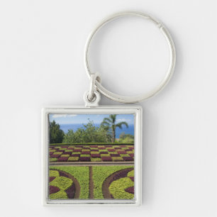 Porte-clés Portugal, île de Madère, Funchal. Botanique