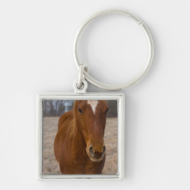Porte-clés Pose de cheval (Devant)