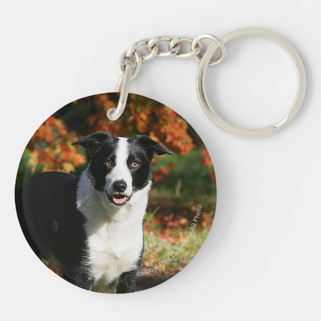 Porte-clés Position d'automne de border collie (Dos)