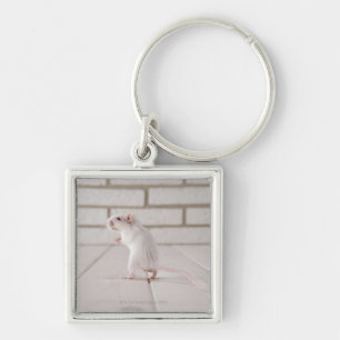 Porte-clés Position de gerbille