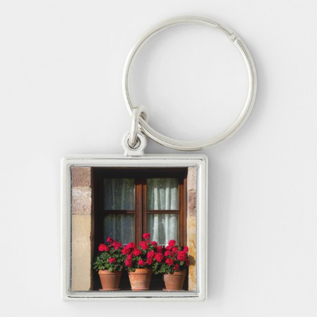 Porte-clés Pots de fleurs de fenêtre dans un village (Devant)