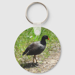 Porte-clés Poule d'eau sombre