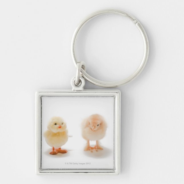 Porte-clés Poulet de bébé et faux poulet mécanique (Devant)