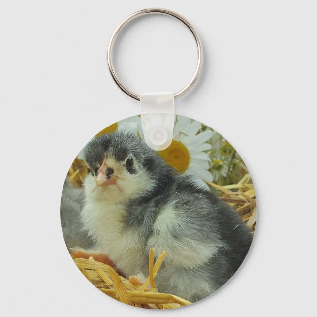 Porte-clés poussin, animal, bébé, mignonette, fleur jaune, bl (Recto)