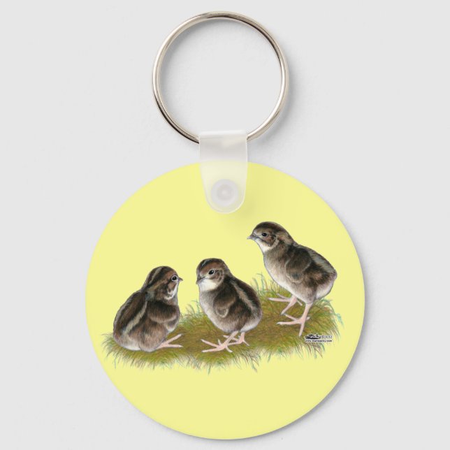 Porte-clés Poussins de caille Coturnix (Recto)