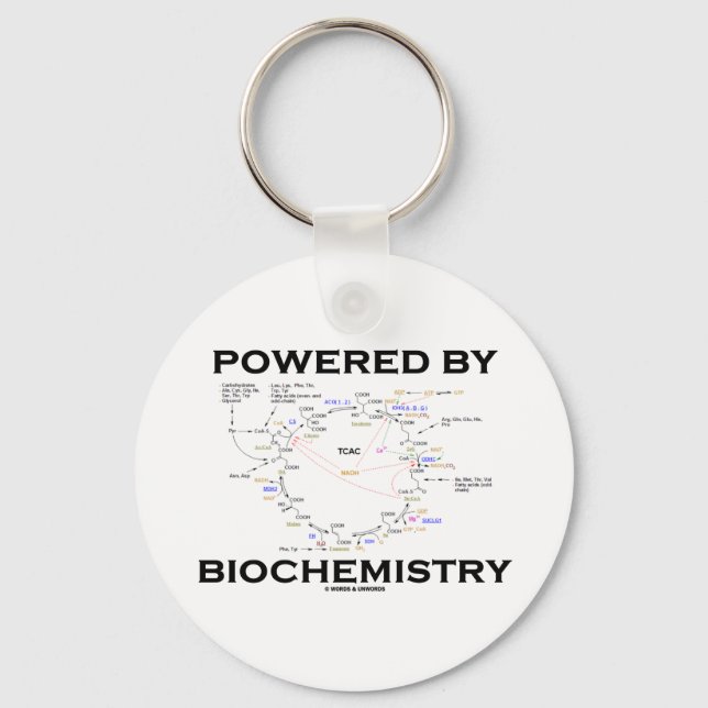 Porte-clés Powered By Biochemistry (Recto)
