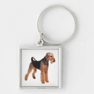 Porte-clés Premium Chien Airedale Terrier