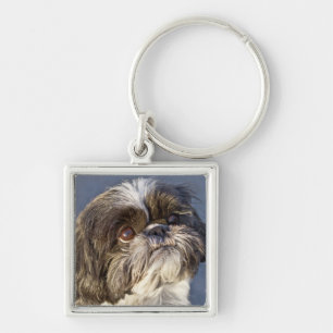 Porte-clés premium chiot Shih Tzu