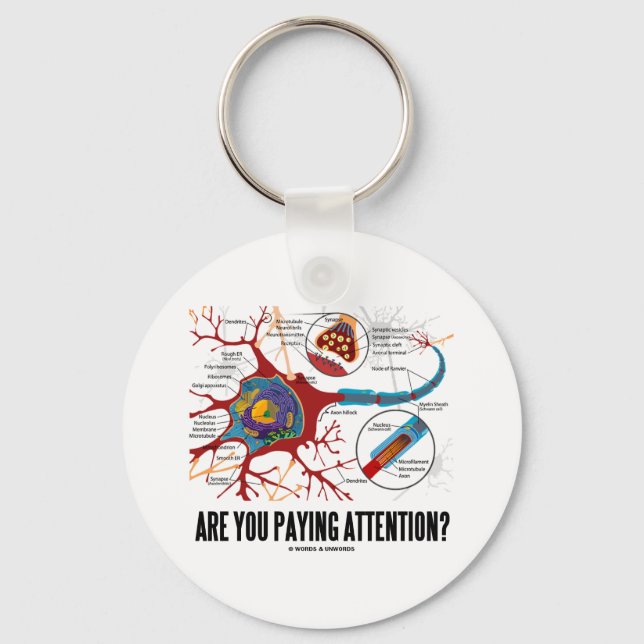 Porte-clés Prends-Tu Attention ? (Humour Synapse du neurone) (Recto)