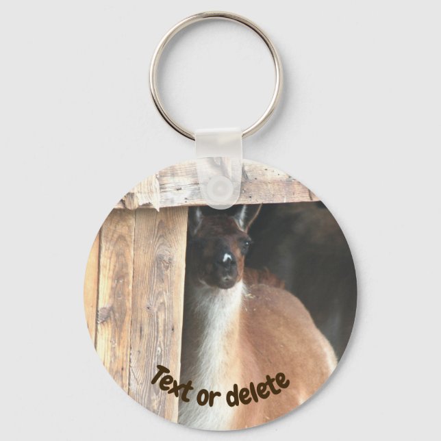 Porte-clés Pretty Llama Farm Animal Personalized (Recto)