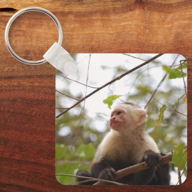 Porte-clés Primate curieux, capucin à face blanche (Recto)