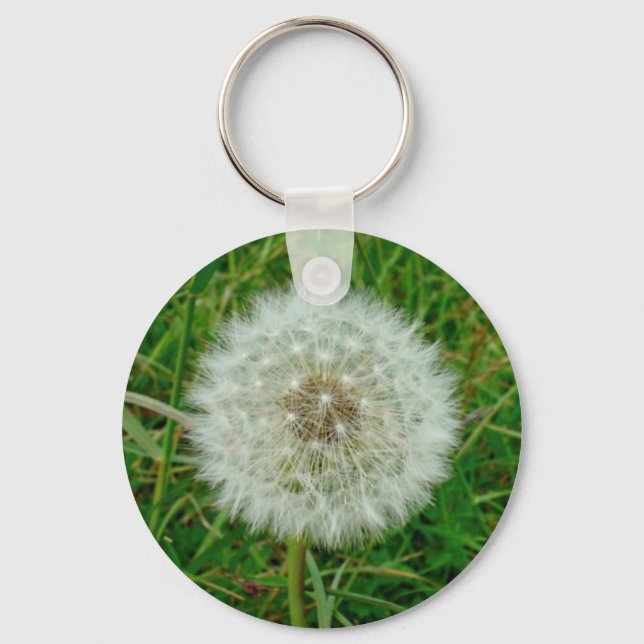 Porte-clés Produits Dandelion (Recto)
