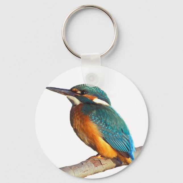 Porte-clés Produits design "Kingfisher" (Recto)