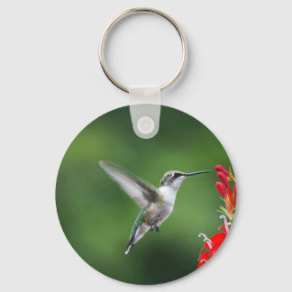PORTE-CLÉS PRODUITS HUMMINGBIRD