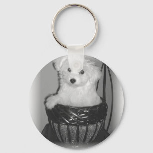 Porte-clés Produits MaltiPoo