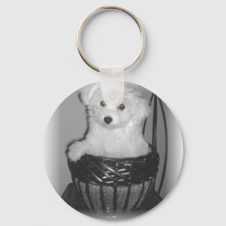 Porte-clés Produits MaltiPoo