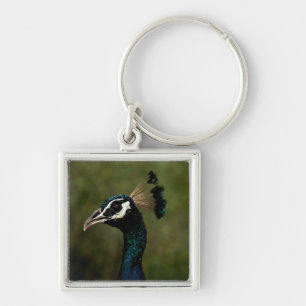 Porte-clés Profil de Peacock