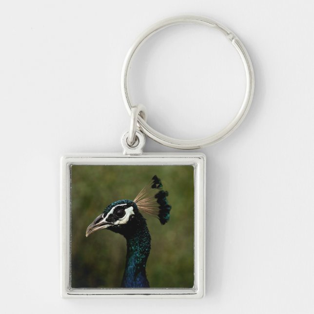 Porte-clés Profil de Peacock (Devant)