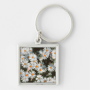 Porte-clés Profusion de marguerites blanches (Asteraceae)