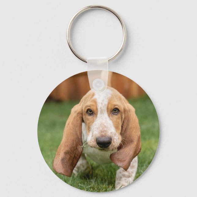 Porte-clés Promenade de chiot Basset Hound (Recto)
