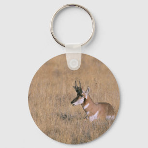 Porte-clés Pronghorn