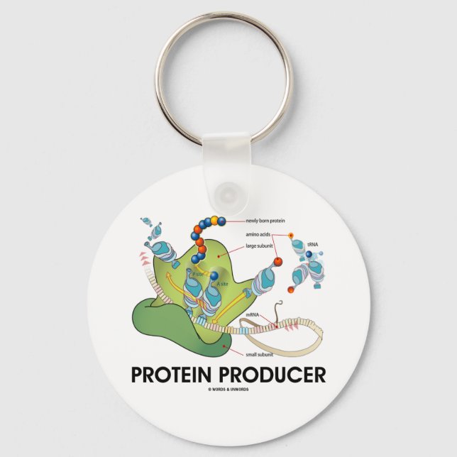Porte-clés Protein Producer (Biology Protein Synthesis) (Recto)