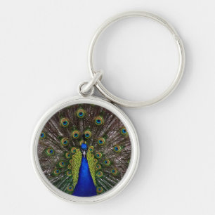 Porte-clés Proud Peacock key chain