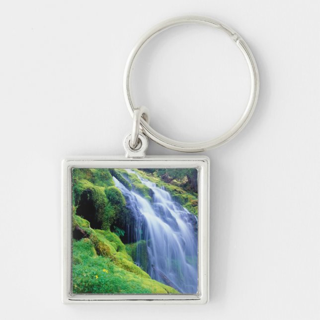 Porte-clés Proxy Falls dans les Cascades centrales de l'Orego (Devant)