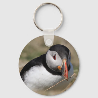 Porte-clés Puffins de Skomer Island