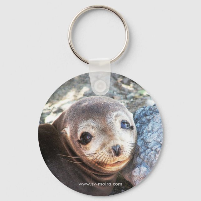 Porte-clés Pup d'otarie, Isla Las Plazas, Galapagos (Recto)