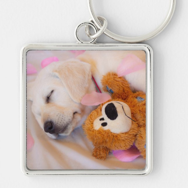 Porte-clés Puppy cuddles 02 (Devant)