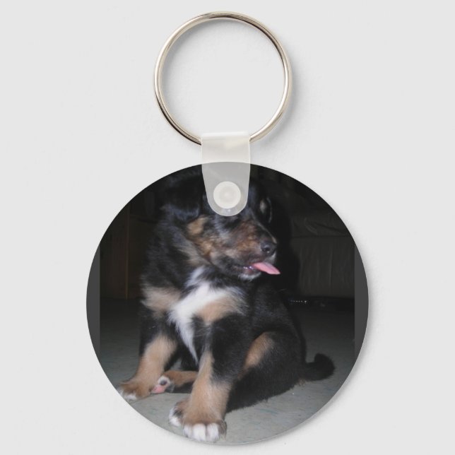 PORTE-CLÉS PUPPY RASPBERRY PORTE - CLÉ (Recto)