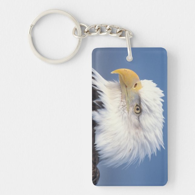 Porte-clés pygargue à tête blanche, Haliaeetus leuccocephalus (Devant)