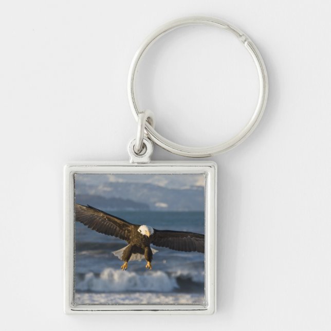 Porte-clés Pygargue à tête blanche, Haliaeetus leucocephalus, (Devant)