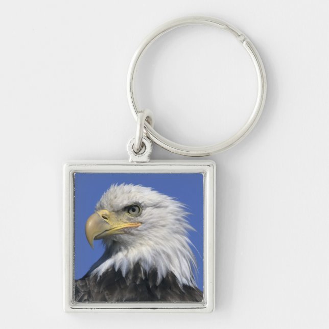 Porte-clés Pygargue à tête blanche, (Haliaeetus leucocephalus (Devant)