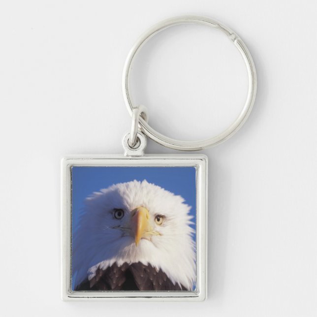 Porte-clés pygargue à tête blanche, Haliaeetus leucocephalus, (Devant)