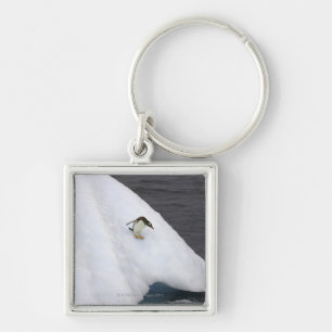 Porte-clés Pygoscelis Papouasie de pingouin de Gentoo) se