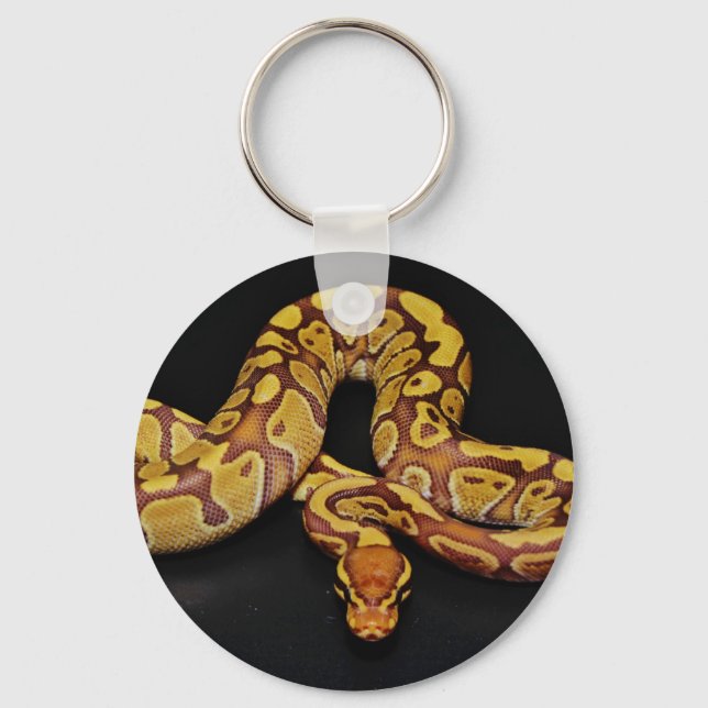 Porte-clés Python Brown et Gold Ball (Recto)