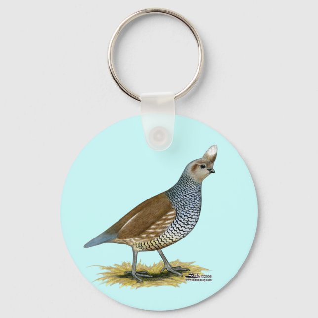 Porte-clés Quail à échelle (Recto)