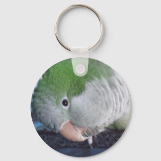 Porte-clés Qu'est-ce que ça fait ? Quaker Parakeet