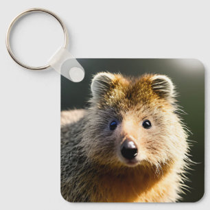 Porte-clés Quintin Le Ginger Quokka, Clavier