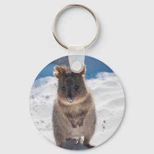 Porte-clés Quokka : L'animal le plus heureux du monde