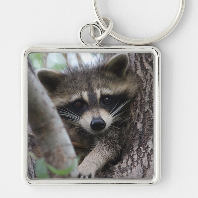 Porte-clés Raccoon (Devant)