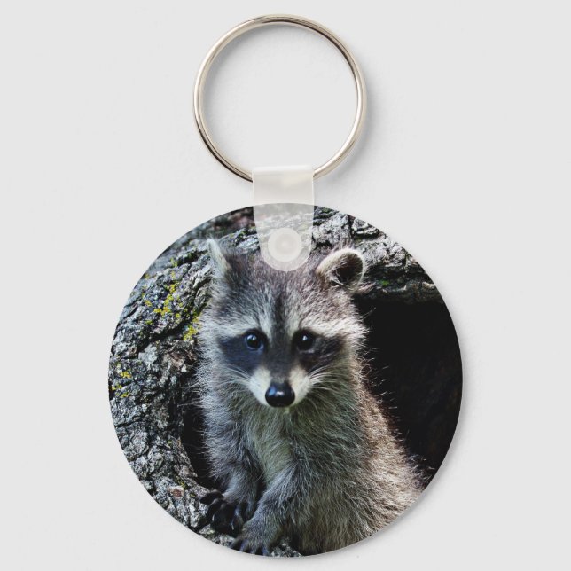 Porte-clés Raccoon dans le Den (Recto)