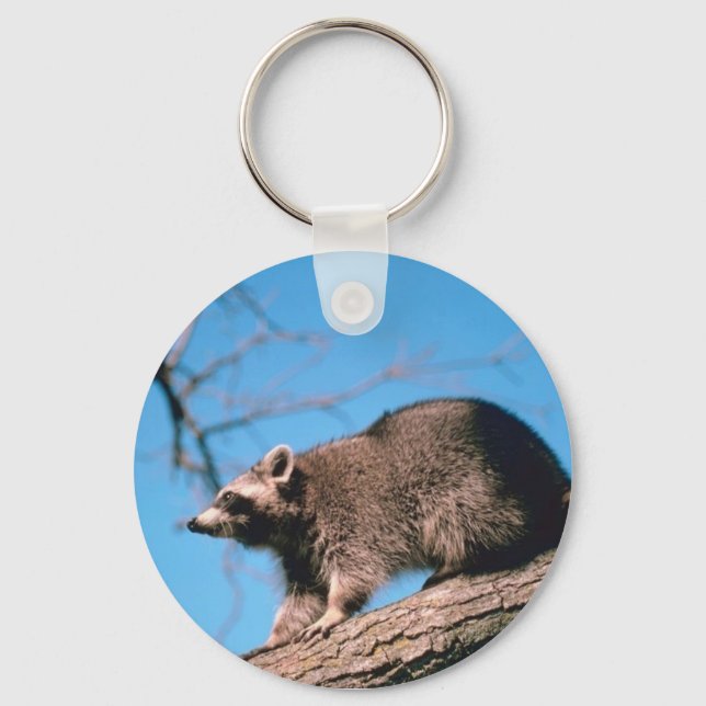 Porte-clés Raccoon perché (Recto)