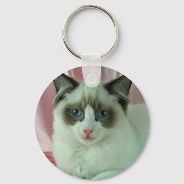 Porte-clés Ragdoll, sceau bicolore (Recto)