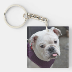 Porte-clés Raillerie de bouledogue