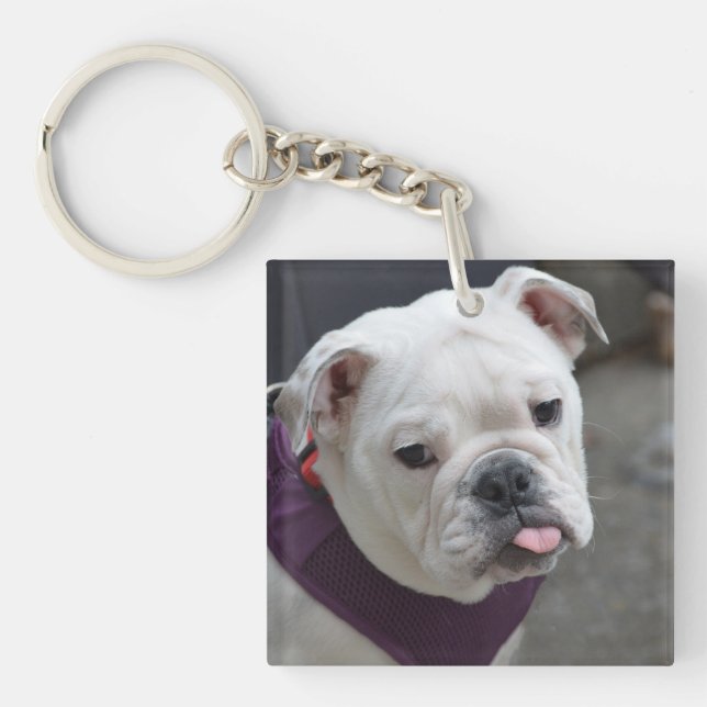 Porte-clés Raillerie de bouledogue (Devant)